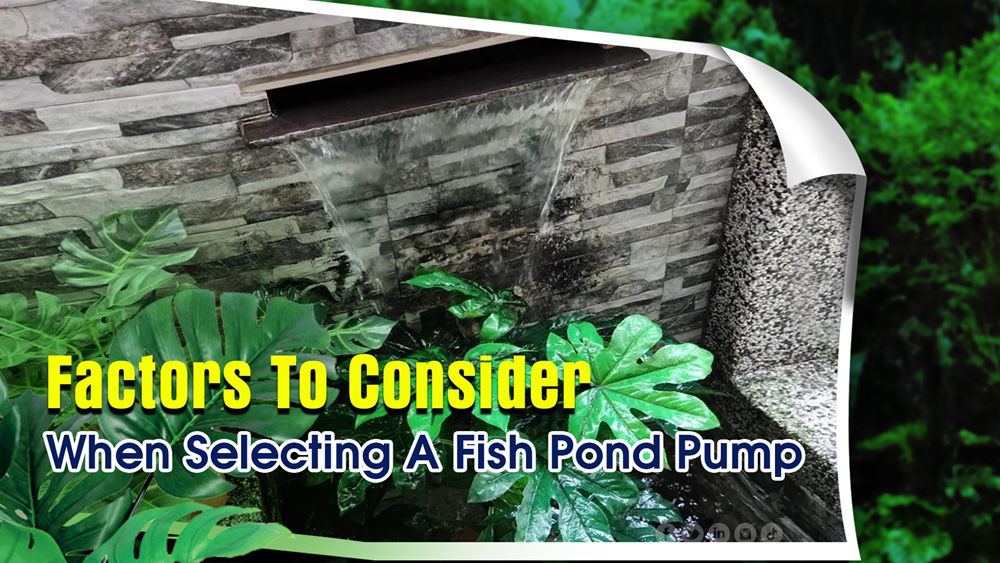 Factors To Consider When Selecting A Fish Pond Pump