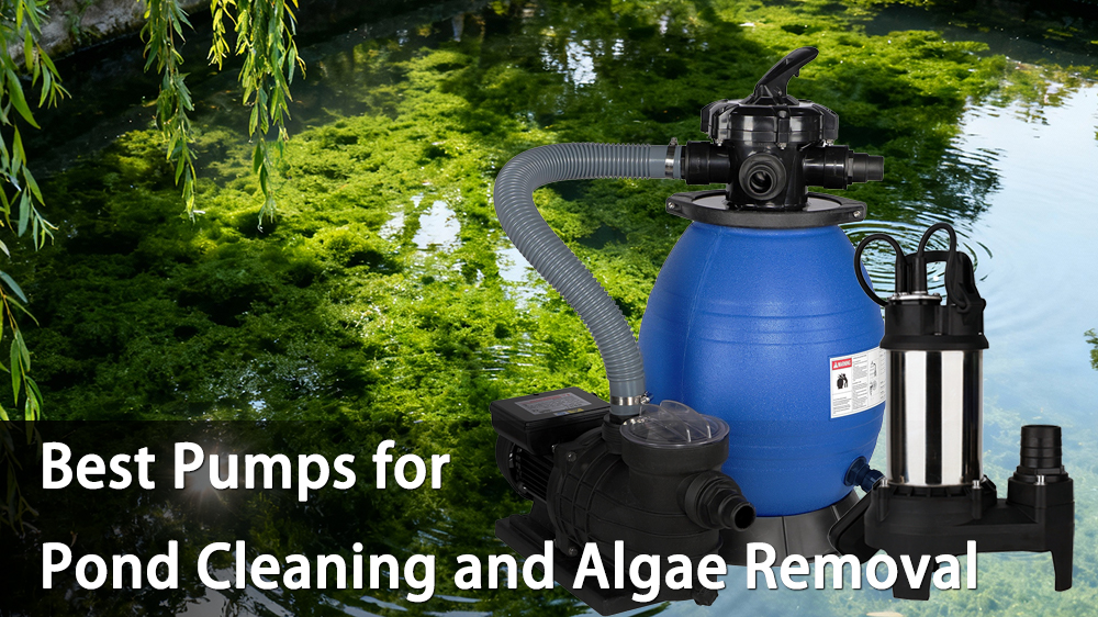 Best Pumps for Pond Cleaning and Algae Removal