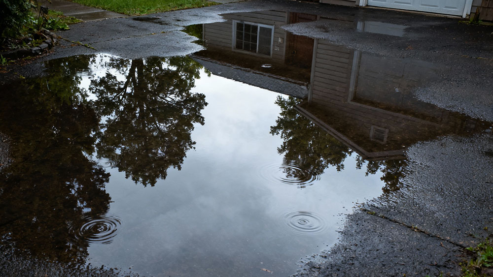 The Best Pump for Driveway and Yard Drainage