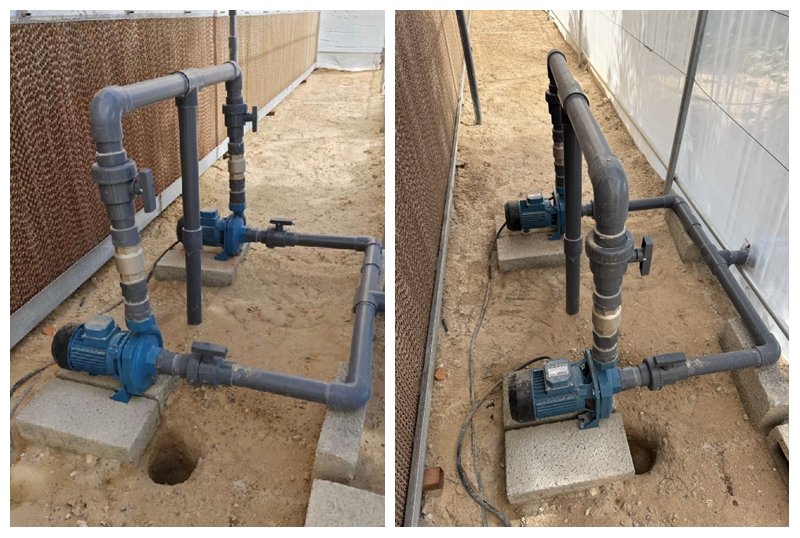 High-Flow Centrifugal Pumps for Greenhouse Irrigation: A Practical Case Study on Energy Efficiency with the S2DK Pump