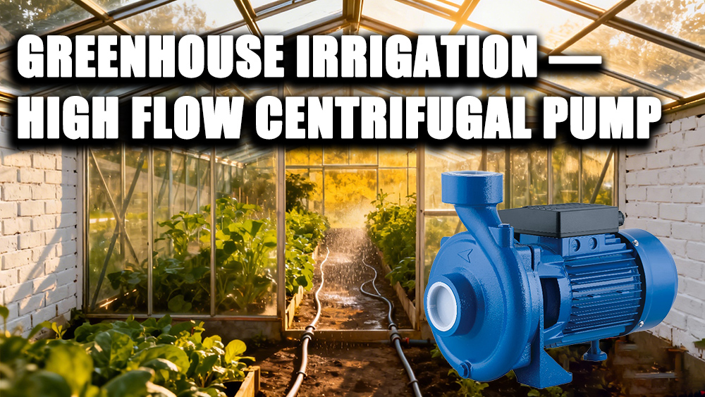 High-Flow Centrifugal Pumps for Greenhouse Irrigation: A Practical Case Study on Energy Efficiency with the S2DK Pump