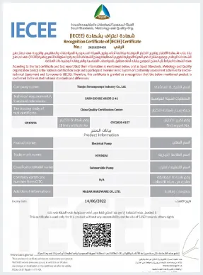 CB Submersible Pump Certificate