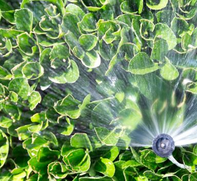 Irrigation Pump Solution 2