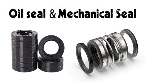 What Seals Are Commonly Used in Domestic Water Pumps?