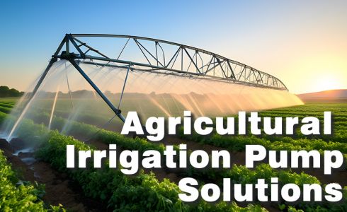 Agricultural Irrigation Pump Solutions
