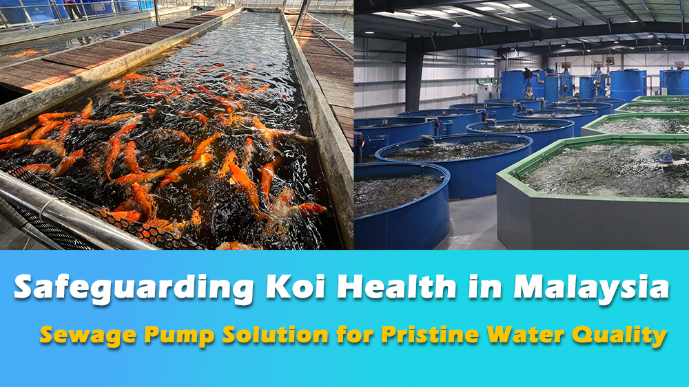 Submersible Sewage Pumps: The Ideal Solution for Koi Farms in Malaysia - Lawn Pump Troubleshooting For Koi Care