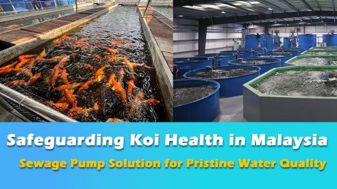 Submersible Sewage Pumps: The Ideal Solution for Koi Farms in Malaysia