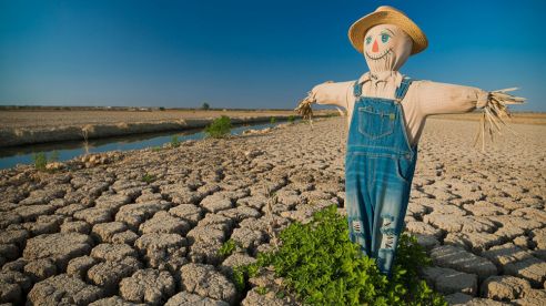 How Water Pumps Support Large-Scale Agricultural Projects in Arid Regions