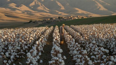 Understanding Agricultural Irrigation in Azerbaijan: Challenges, Regions, and Pump Solutions