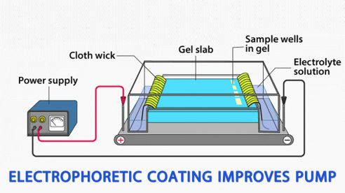How Electrophoretic Coating Improves Pump Durability and Corrosion Resistance