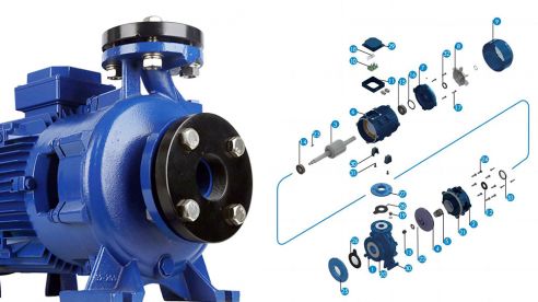 Inside an End Suction Pump: Key Components and Flow Path