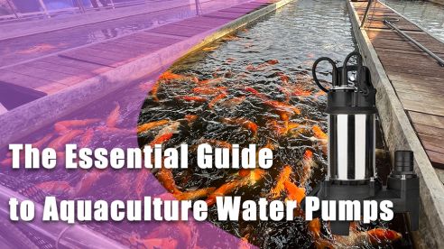 The Essential Guide to Aquaculture Water Pumps