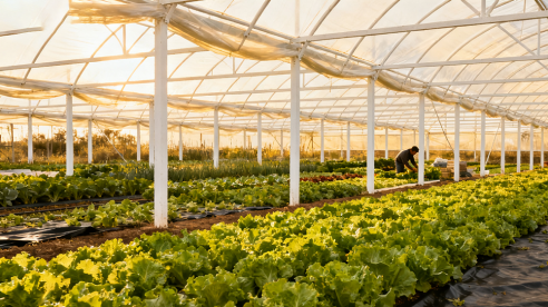 Choosing the Right Pump for Greenhouses in Azerbaijan