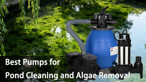 Best Pumps for Pond Cleaning and Algae Removal