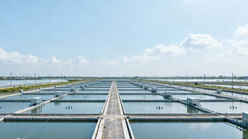 How to Choose a Pump for Fish Ponds and Aquaculture Systems