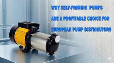 Why Self-Priming Centrifugal Pumps Are a Profitable Choice for European Pump Distributors
